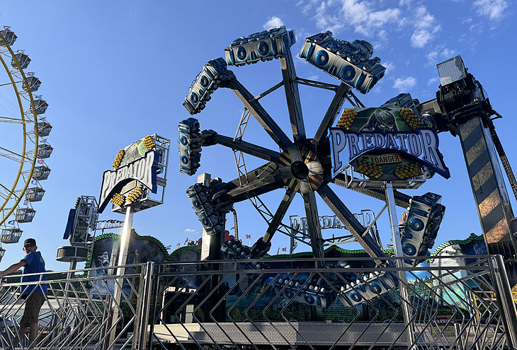 Predator auf der Maidult Regensburg 2024 (©Foto: Martin Schmitz)